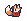 Red Fox