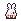 Wing-Eared Rabbit