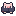 Scholar Pig
